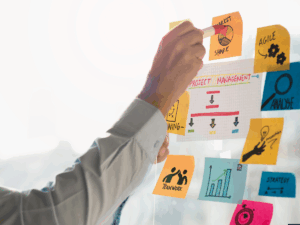 Interim Management